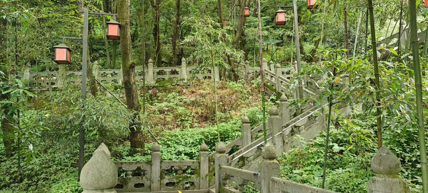 A stone stairway through bamboo forest with red lanterns in Wudang