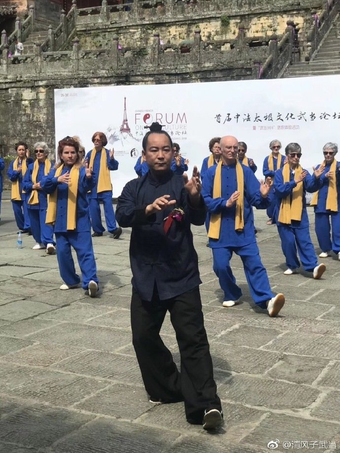 Master Qingfengzi teaching Tai Chi at the China-France Wudang Tai Chi Forum
